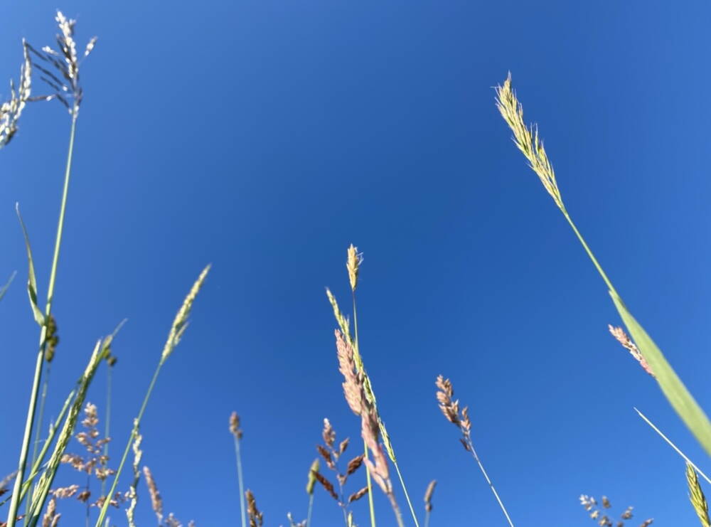 erdenhimmel.jpg erdenhimmel.jpg