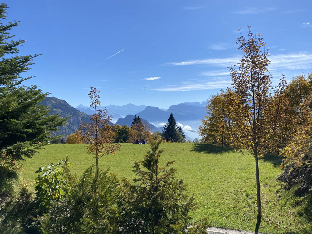 img_8810_kopie.jpg img_8810_kopie.jpg