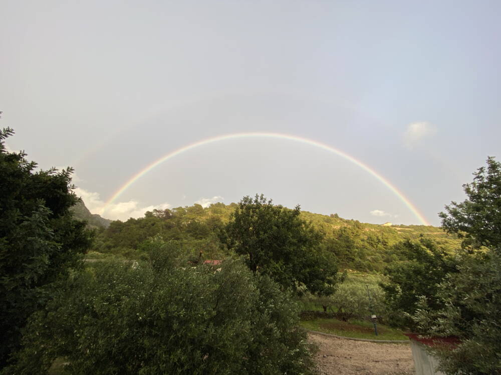 rainbowdream.jpg rainbowdream.jpg